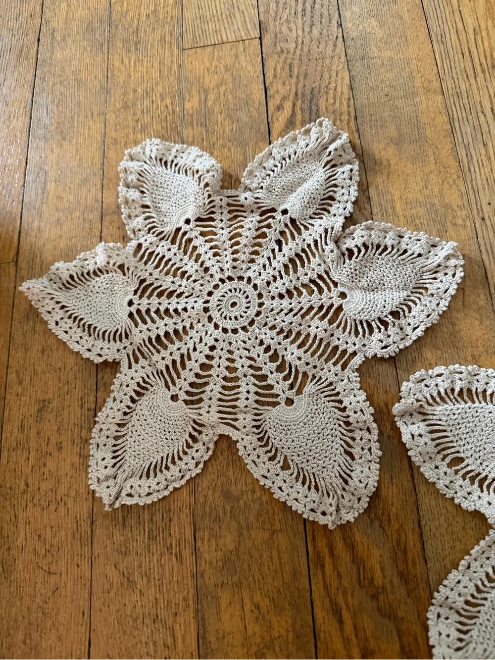 Handmade Crocheted Floral Doilies Pair in Cream